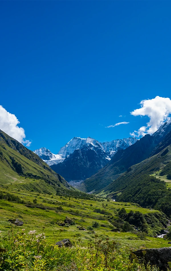 Valley of Flowers Trek   